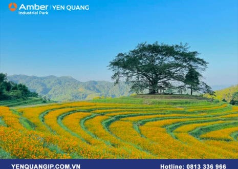 Huyện Cao Phong tỉnh Hòa Bình